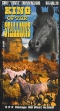 Another movie King of the Stallions of the director Edward Finney.