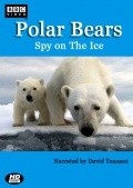 Another movie Polar Bears: Spy on the Ice of the director John Downer.