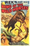 Another movie The King of the Wild Horses of the director Fred Jackman.