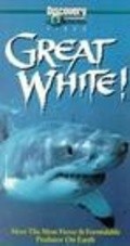Another movie Great White of the director Zac Reeder.