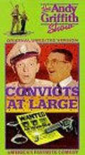 Another movie Convicts at Large of the director Scott E. Beal.