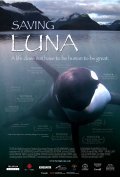 Another movie Saving Luna of the director Syuzann Chisholm.