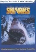 Another movie Search for the Great Sharks of the director Mal Wolfe.