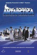 Another movie Antarctica of the director John Weiley.