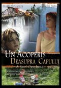 Another movie Un acoperis deasupra capului of the director Adrian Popovici.