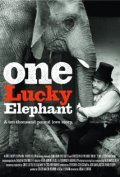 Another movie One Lucky Elephant of the director Lisa Leeman.