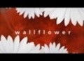 Another movie Wallflower of the director Djeyd S. Bohari.