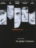 Another movie The Gray in Between of the director Joshua Rofe.