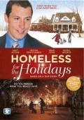 Another movie Homeless for the Holidays of the director George A. Johnson.