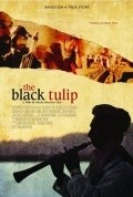 Another movie The Black Tulip of the director Sonia Nassery Cole.