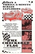 Another movie The Checkered Flag of the director Bill Gref.