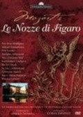 Another movie Le nozze di Figaro of the director Thomas Olofsson.