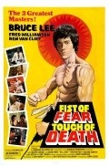 Another movie Fist of Fear, Touch of Death of the director Matthew Mallinson.
