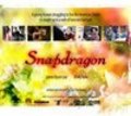 Another movie Snapdragon of the director Sun Tae Hwang.