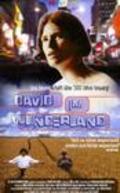 Another movie David im Wunderland of the director Moritz Seibert.