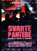 Another movie Svarte pantere of the director Thomas Robsahm.