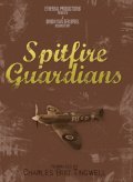 Another movie Spitfire Guardians of the director Simon Van Der Spoel.