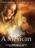 Another movie To Love a Mexican of the director Dayan Kern.