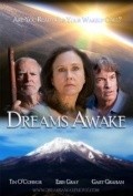 Another movie Dreams Awake of the director Djerri Elden Dil.