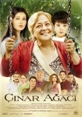 Another movie Cinar agaci of the director Handan Ipekci.