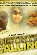 Another movie Destiny's Calling of the director James Turner.