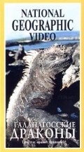 Another movie The Dragons of Galapagos of the director Devid Parer.