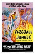 Another movie Fireball Jungle of the director Joseph P. Mawra.