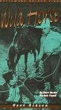 Another movie Wild Horse of the director Sidney Algier.