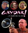Another movie Gaydar of the director Larry LaFond.