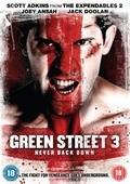 Another movie Green Street 3: Never Back Down of the director James Nunn.