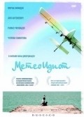Another movie Meteoidiot of the director Nana Dzhordzhadze.