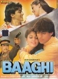 Another movie Baaghi: A Rebel for Love of the director Dipak S. Shivdasani.