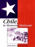 Another movie Chile, la memoria obstinada of the director Patricio Guzman.