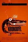 Another movie Kata a krokodyl of the director Vera Plivova-Simkova.