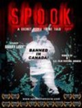 Another movie Spook of the director Barry W. Levy.
