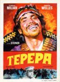 Another movie Tepepa of the director Giulio Petroni.