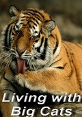 Another movie Living with Big Cats of the director Beverli Jyuber.