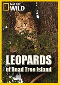 Another movie Leopards of Dead Tree Island of the director Michael Rotenberg.