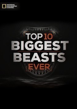 Another movie Top-10 Biggest Beasts Ever of the director Oliver Tvinch.