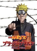 Another movie Gekijouban Naruto Shippuuden Movie 5: Blood Prison of the director Murata Masahiko.