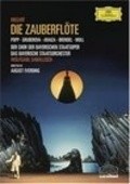 Another movie Die Zauberflote of the director Peter Windgassen.