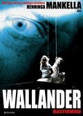 Another movie Wallander - Mastermind of the director Peter Flinth.