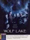 Another movie Wolf Lake of the director Dwight H. Little.
