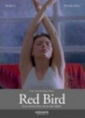 Another movie Red Bird of the director Emilia Anguita Huerta.