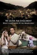 Another movie Ne gezer ask daglarda? of the director Yunyus Emre Firat.