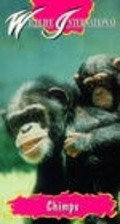 Another movie Chimps: So Like Us of the director Karen Goodman.