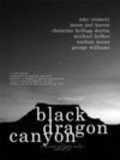 Another movie Black Dragon Canyon of the director Djey Keytel.