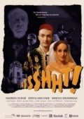Another movie Sssshht! of the director Yoris Van Den Berg.