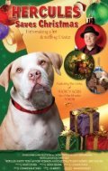 Another movie Santa's Dog of the director Edvard Haytauer.