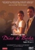 Another movie Dias de voda of the director Juan Pinzas.